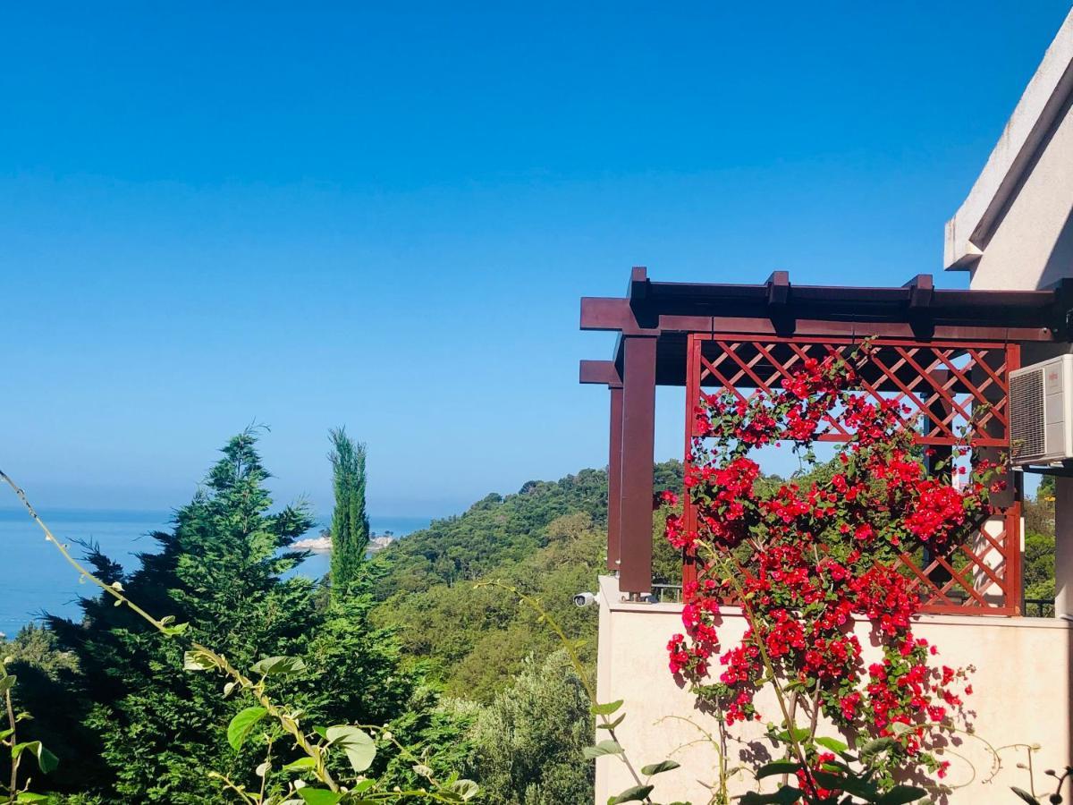 Bay View Petrovac